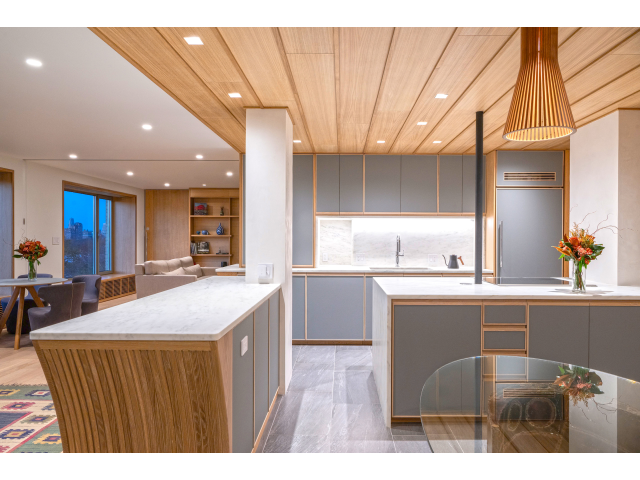 Carnegie Hill Apartment